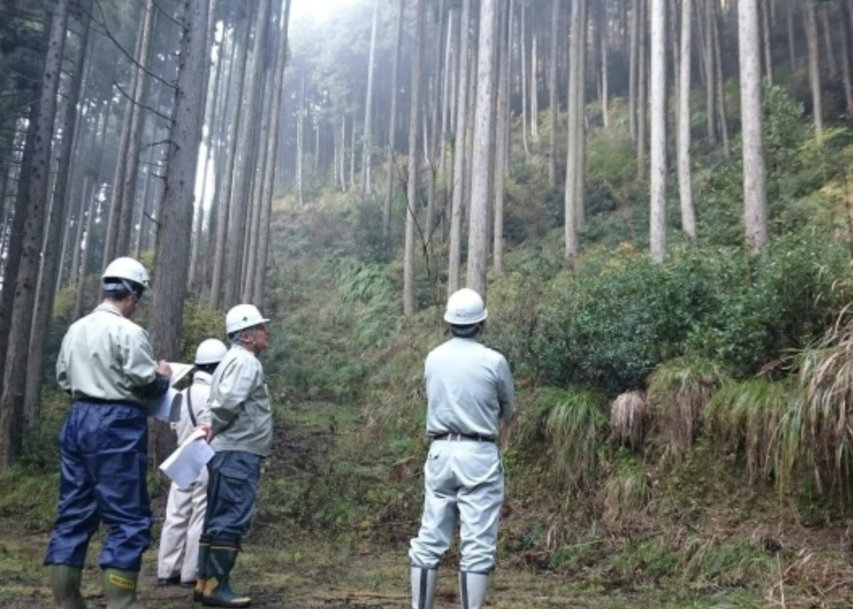 Farmlandgrab reports how Japan's Oji sets up forest plantation company in Uruguay